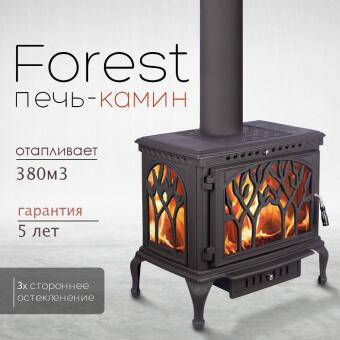 Чугунная печь Forest  в Владивостоке